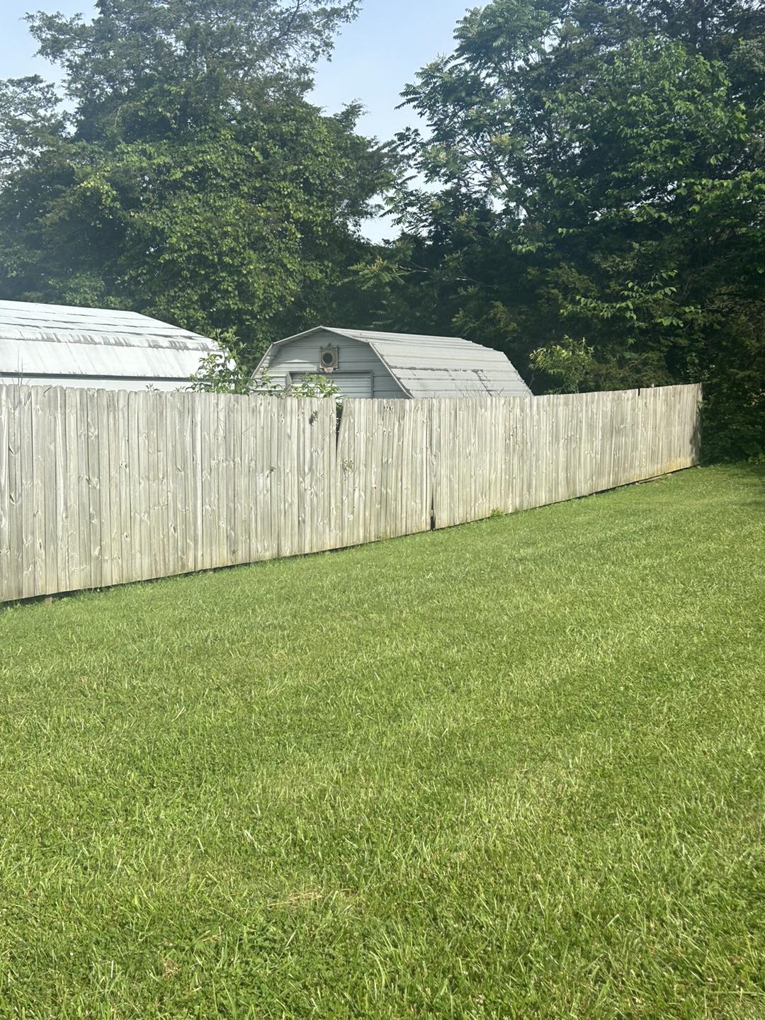 487237117_1150199727117767_5311645231413571320_n