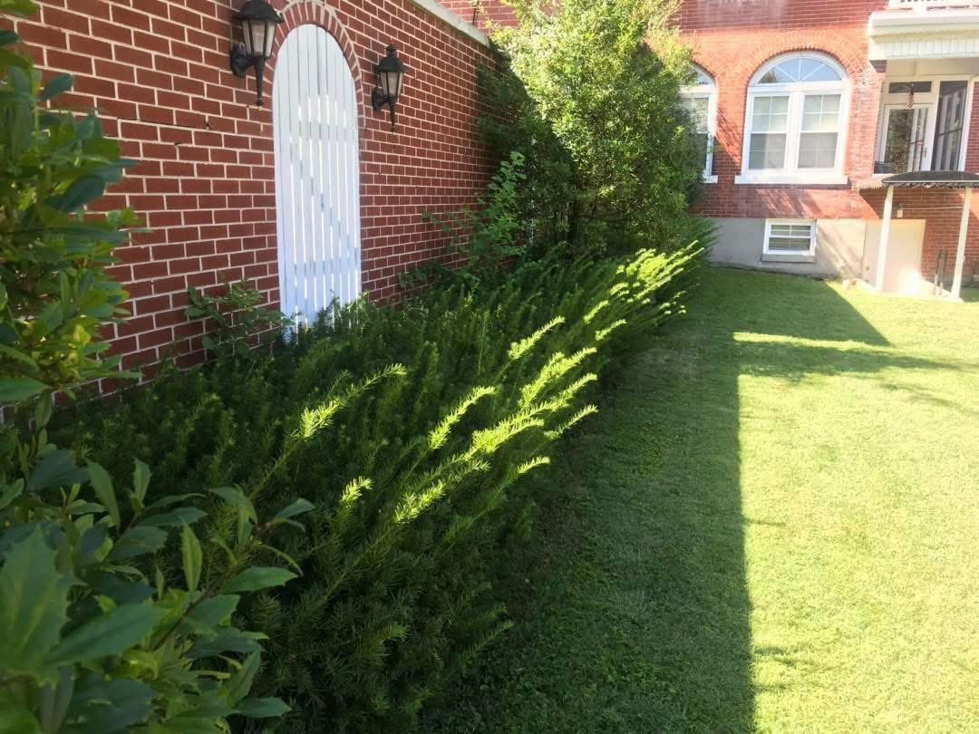 558870311_1311408934330178_7701057869774906535_n