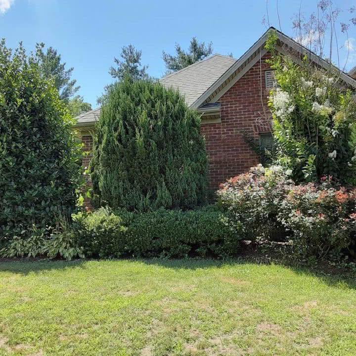 559097464_1314934273977644_9132615624005313920_n