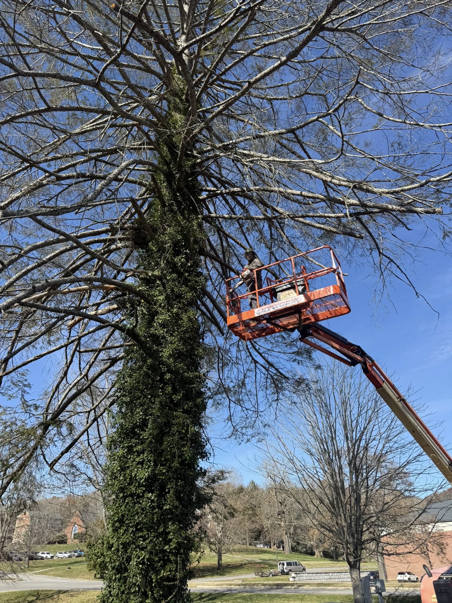 583913562_1349096883894716_3400460920189918799_n