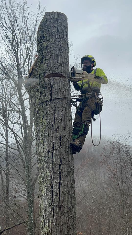 615815801_1395377125933358_1202550501496866943_n