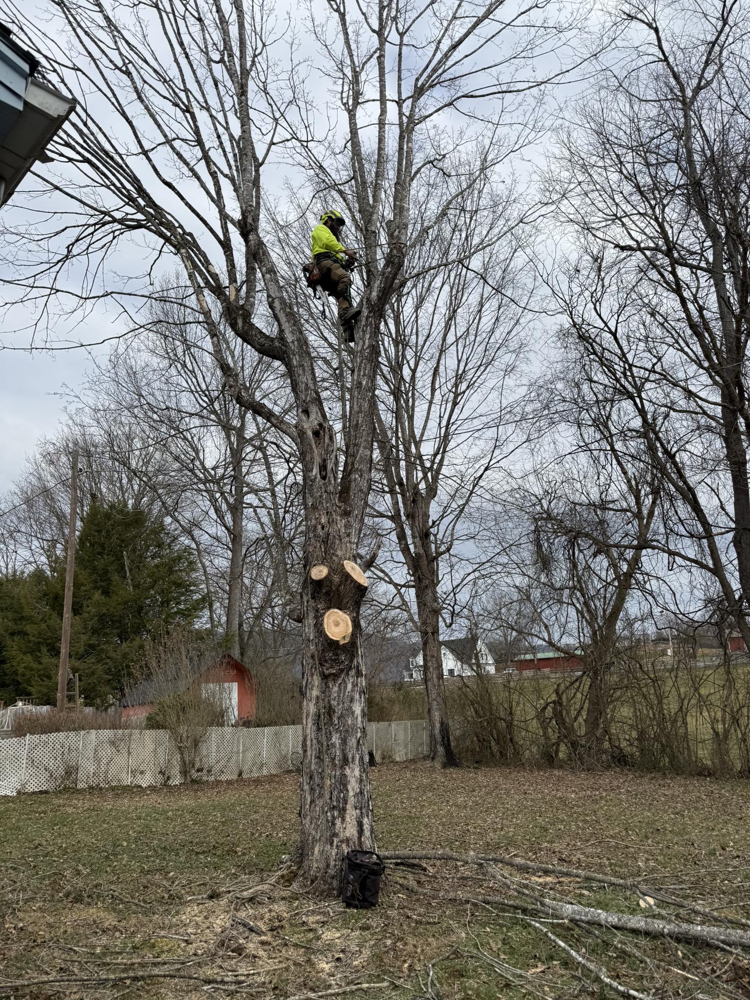 616847006_1397786725692398_3976482187444389107_n