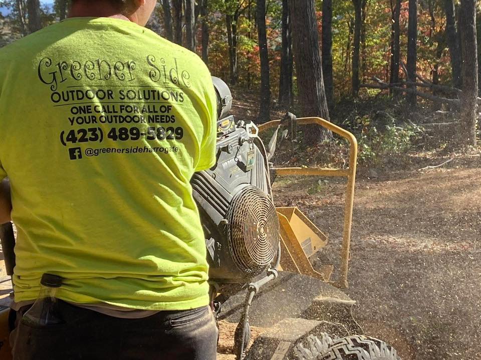 616854641_1400329835438087_8919069528657277484_n